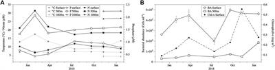 Relative Importance of Phosphodiesterase vs. Phosphomonoesterase (Alkaline Phosphatase) Activities for Dissolved Organic Phosphorus Hydrolysis in Epi- and Mesopelagic Waters